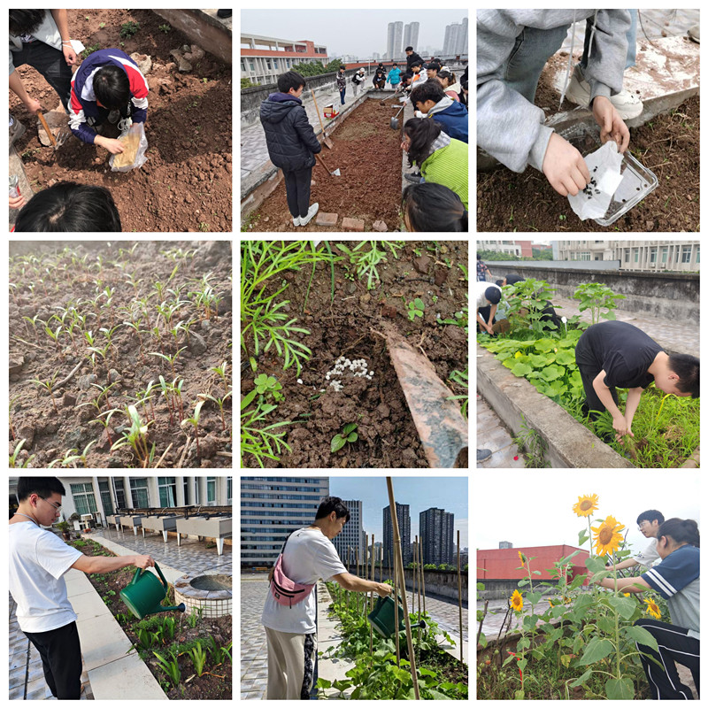 劳动过程_副本.jpg 劳动过程_副本.jpg