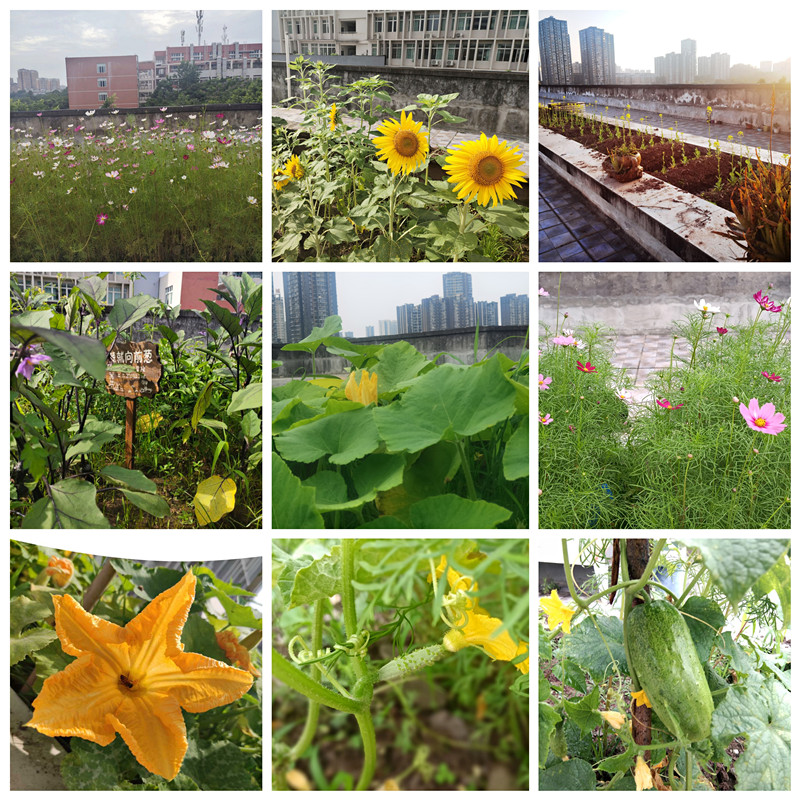 劳动成果1_副本.jpg 劳动成果1_副本.jpg