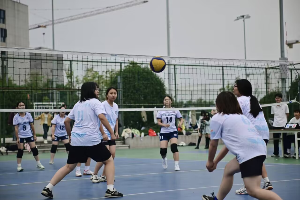 233815ad5dba522215c504e3898486e3_副本.png